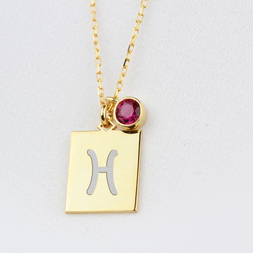 Glorria Kişiye Özel Doğum Taşlı Balık Burcu Gümüş Kolye