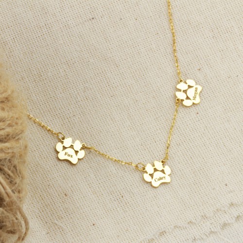 Glorria Gümüş Kişiye Özel İsimli Pati Kolye