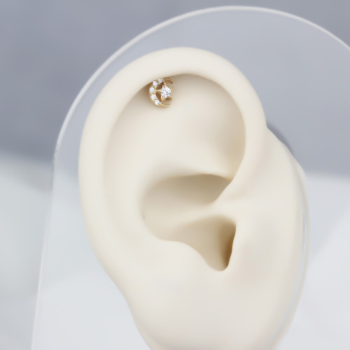 Glorria Altın Ay Yıldız Helix Piercing Glorria Altın Ay Yıldız Helix Piercing