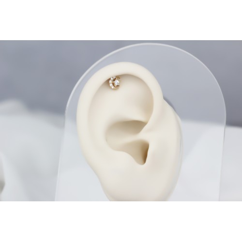 Glorria Altın Ay Yıldız Helix Piercing Glorria Altın Ay Yıldız Helix Piercing