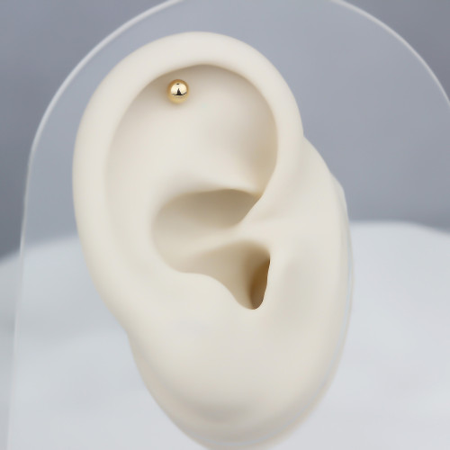 Glorria Altın Top Helix Piercing Glorria Altın Top Helix Piercing