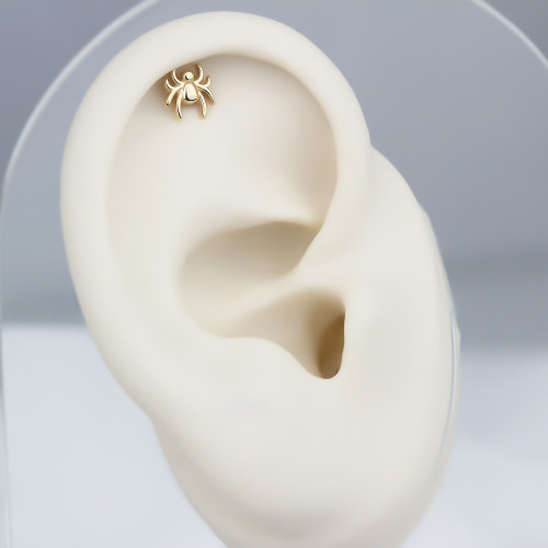Glorria Altın Örümcek Helix Piercing