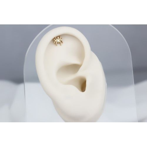 Glorria Altın Örümcek Helix Piercing Glorria Altın Örümcek Helix Piercing