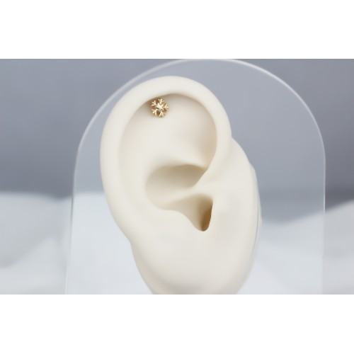 Glorria Altın Kar Tanesi Helix Piercing Glorria Altın Kar Tanesi Helix Piercing