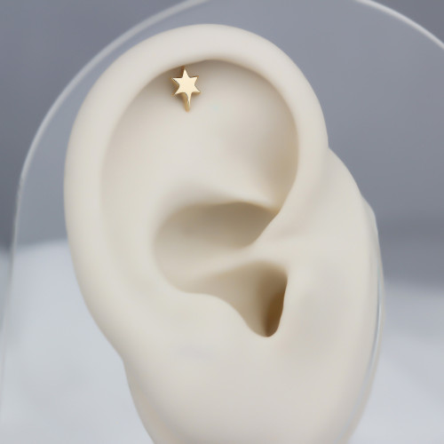 Glorria Altın Kutup Yıldızı Helix Piercing Glorria Altın Kutup Yıldızı Helix Piercing