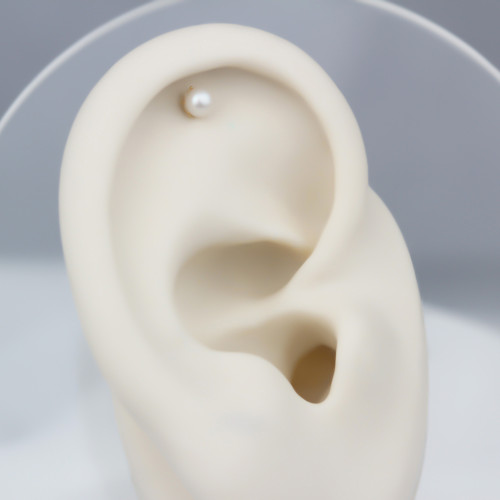 Glorria Altın İnci Helix Piercing Glorria Altın İnci Helix Piercing
