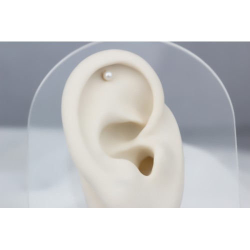 Glorria Altın İnci Helix Piercing Glorria Altın İnci Helix Piercing