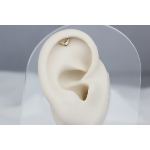 Glorria Altın Melek Kanadı Helix Piercing Glorria Altın Melek Kanadı Helix Piercing