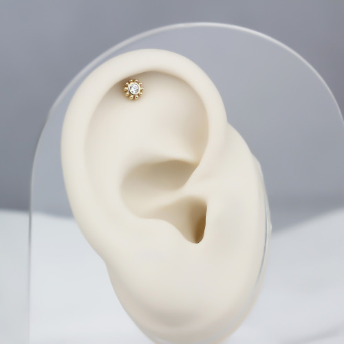 Glorria Altın Tektaş Helix Piercing Glorria Altın Tektaş Helix Piercing