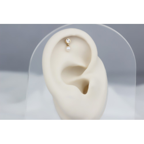Glorria Altın İnci Tektaş Helix Piercing Glorria Altın İnci Tektaş Helix Piercing