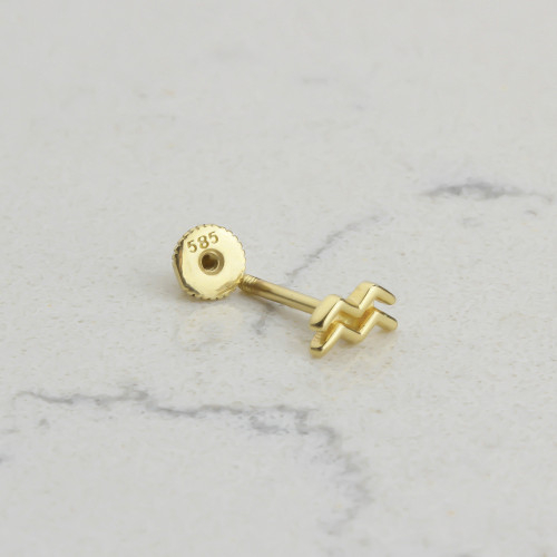 Glorria Altın Kova Burcu Helix Piercing Glorria Altın Kova Burcu Helix Piercing